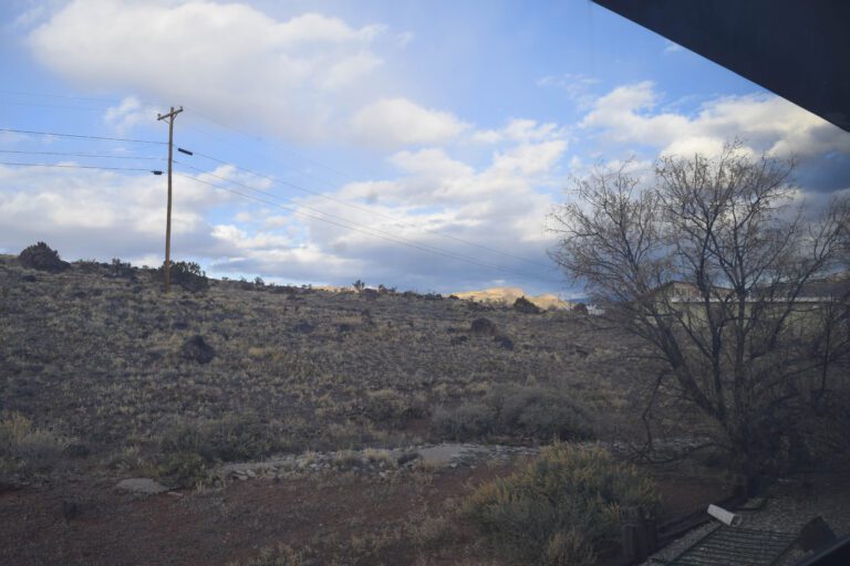 View of empty lot to show brush, rocks of various sizes, power line in the background. Neighboring home seen through tree on the property.