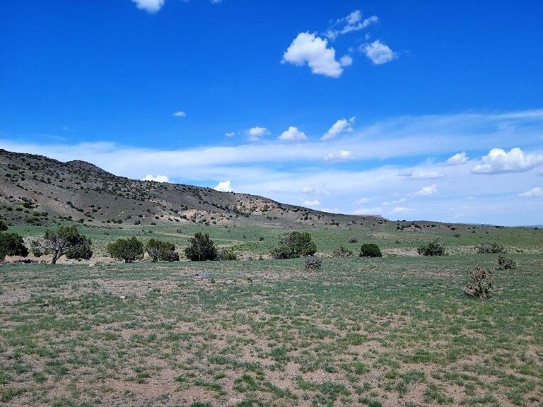 View of acreage, green flat land with some small pine trees in the distance, Mesa in the background. Blue sky with white clouds coming in.