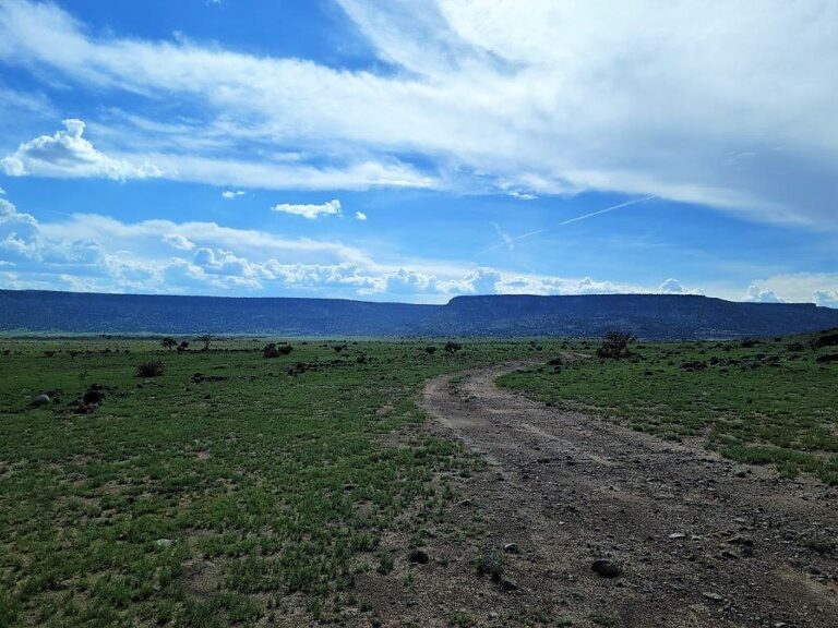 Blue sky with white clouds coming in. Dirt road meandering through the green New Mexico field. Mesa in the distance in the background.