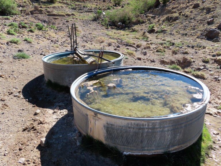 Picture of two cattle stock tanks full of water fed by the natural springs on the section of land.